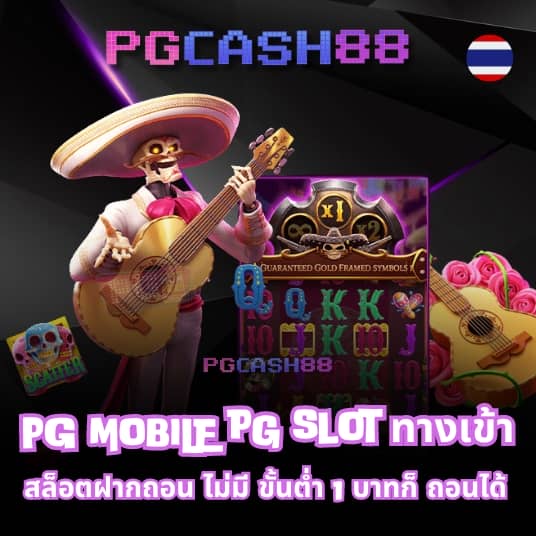 slot wallet 789